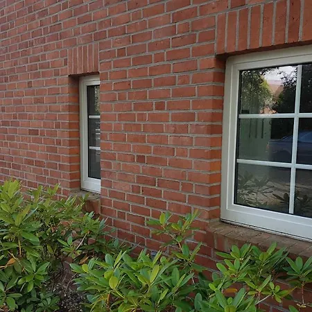 Mueller_ 15121 * Leer